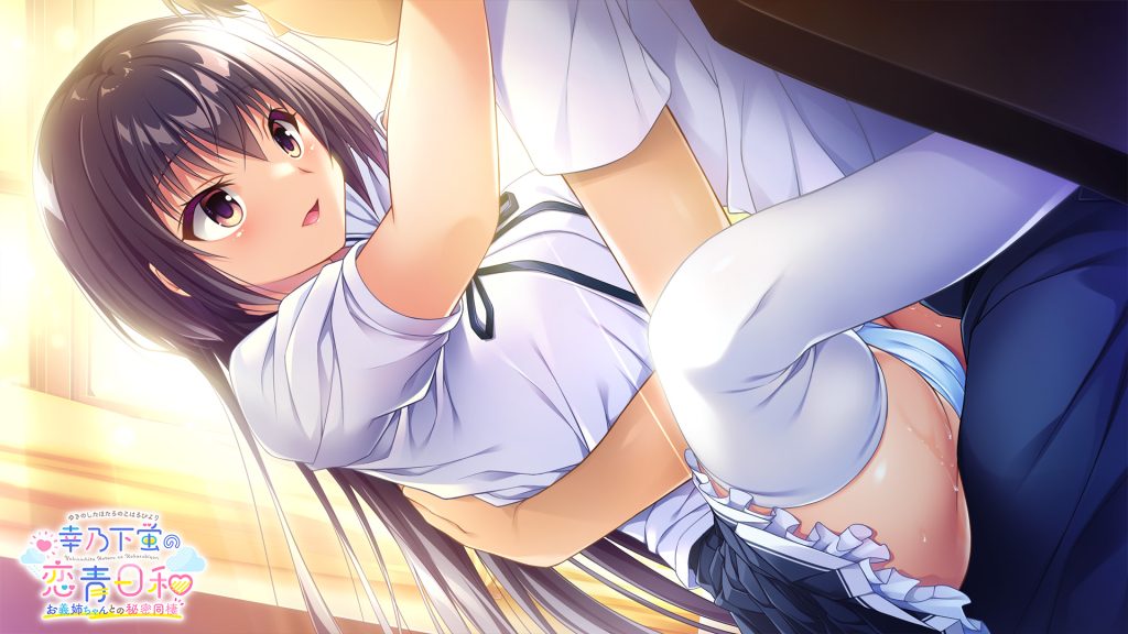 图片[6]-【拔作ADV/AI汉化】幸乃下蛍の恋青日和 ～お義姉ちゃんとの秘密同棲～[1.14G/度云]-ACG游戏网