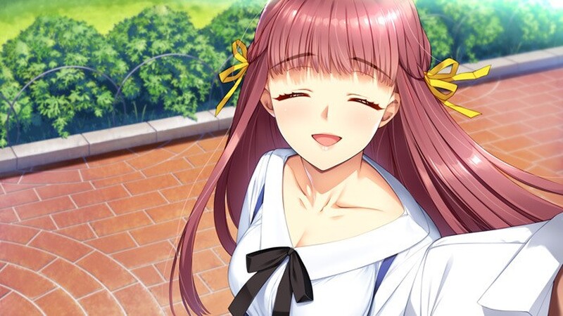 图片[6]-【仅PC/大型SLG/校园】 同级生Remake V1.0.4.2-重制版 (官中+全DLC+原声带) [9.20GB/百度]-ACG游戏网