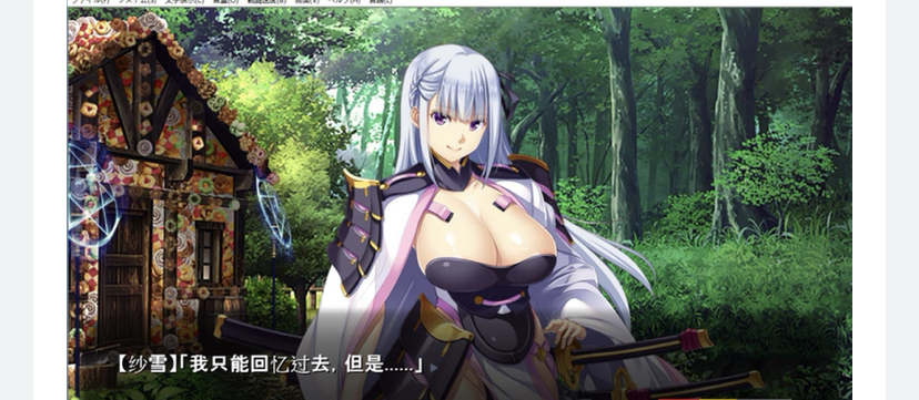 图片[4]-致曾经是勇者的妻子们 V20251110 官方中文版+存档+DLC【更新】-ACG游戏网